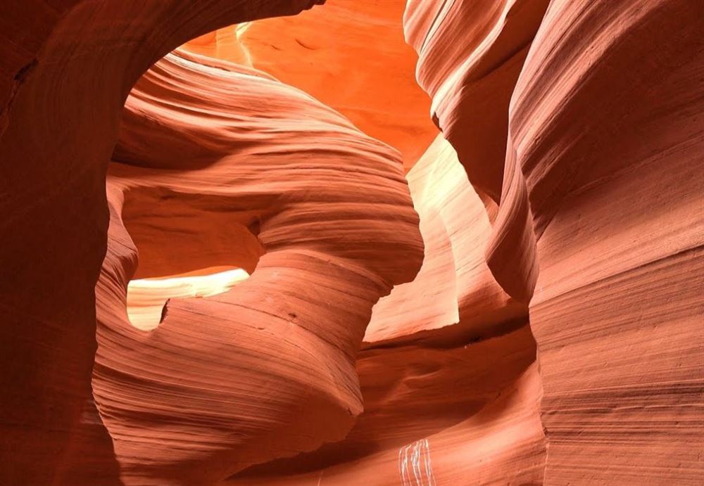 TeamTour West + Mini Yosemite & San Francisco — 6